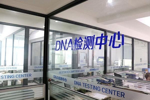 仙桃DNA检测收费咨询服务（专注顾问解答您的DNA检测收费问题） 
